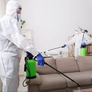 شركة مكافحة حشرات بالرياض عان