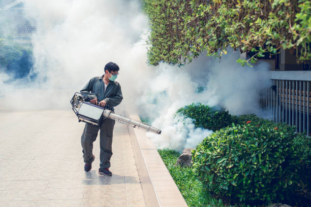 شركة رش مبيدات بالمزاحمية