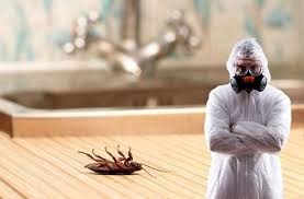 شركة مكافحة الصراصير بشقراء